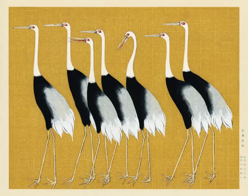 Red Crown Crane, Bird Painting by Ogata Korin